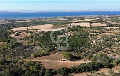 ÇANAKKALE LAPSEKİ ÇARDAK'TA BOĞAZ MANZARALI 10.055 m² YATIRIMLIK SATILIK TARLA!