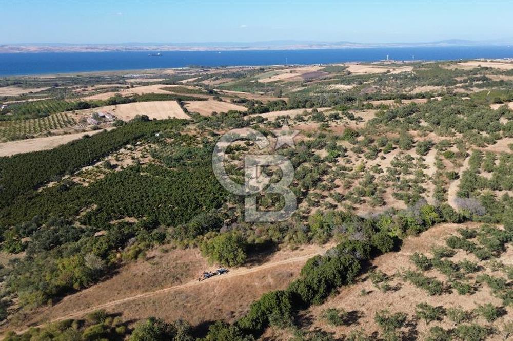 ÇANAKKALE LAPSEKİ ÇARDAK'TA BOĞAZ MANZARALI 10.055 m² YATIRIMLIK SATILIK TARLA!