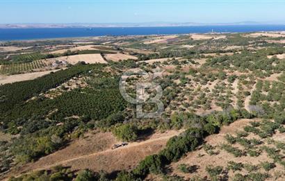 ÇANAKKALE LAPSEKİ ÇARDAK'TA BOĞAZ MANZARALI 10.055 m² YATIRIMLIK SATILIK TARLA!