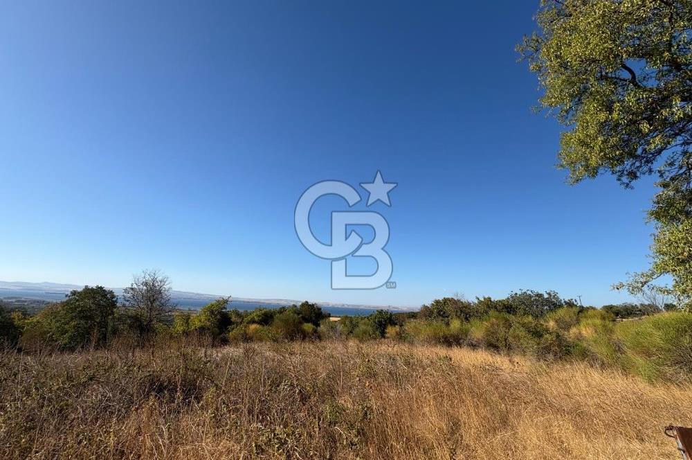 ÇANAKKALE LAPSEKİ ÇARDAK'TA BOĞAZ MANZARALI 10.055 m² YATIRIMLIK SATILIK TARLA!