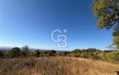 ÇANAKKALE LAPSEKİ ÇARDAK'TA BOĞAZ MANZARALI 10.055 m² YATIRIMLIK SATILIK TARLA!