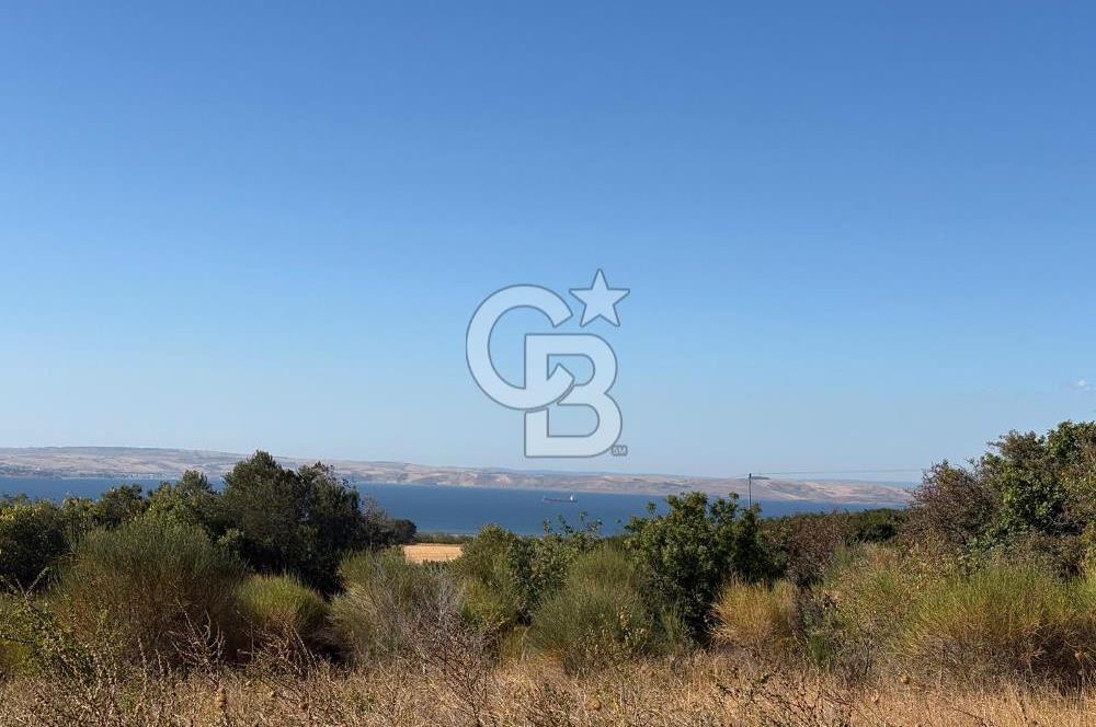ÇANAKKALE LAPSEKİ ÇARDAK'TA BOĞAZ MANZARALI 10.055 m² YATIRIMLIK SATILIK TARLA!