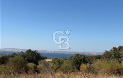 ÇANAKKALE LAPSEKİ ÇARDAK'TA BOĞAZ MANZARALI 10.055 m² YATIRIMLIK SATILIK TARLA!