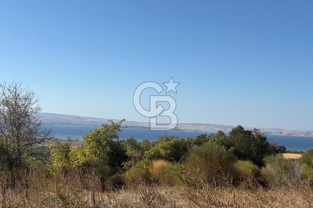 ÇANAKKALE LAPSEKİ ÇARDAK'TA BOĞAZ MANZARALI 10.055 m² YATIRIMLIK SATILIK TARLA!