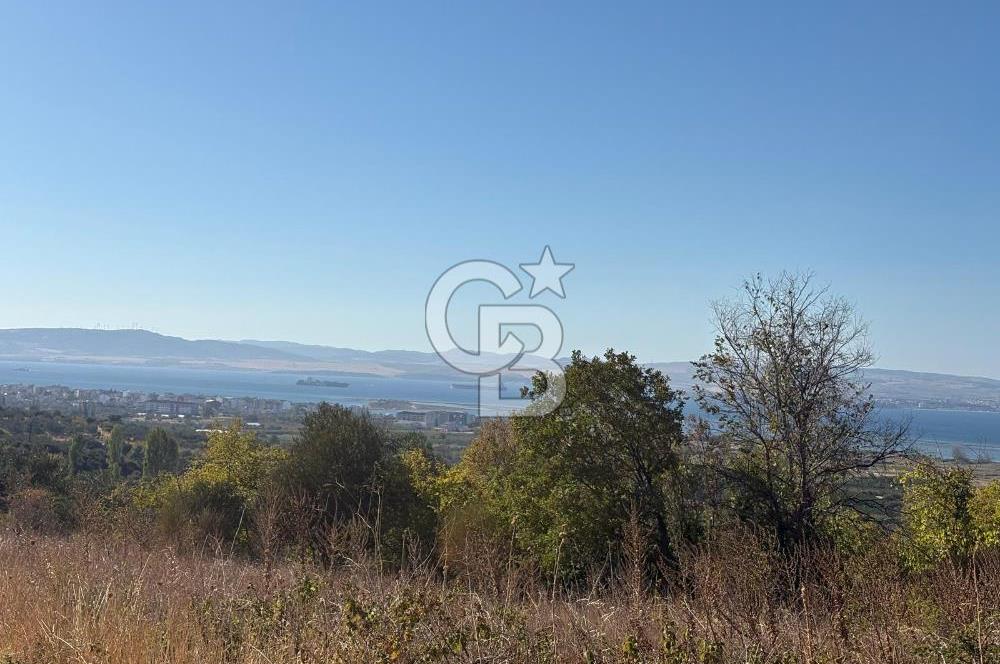 ÇANAKKALE LAPSEKİ ÇARDAK'TA BOĞAZ MANZARALI 10.055 m² YATIRIMLIK SATILIK TARLA!