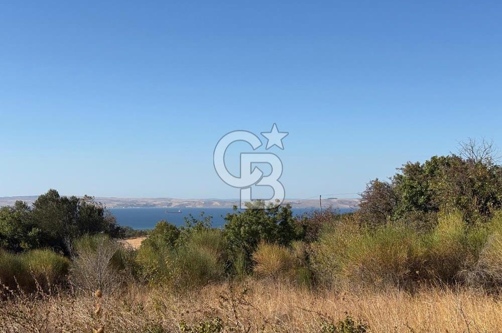 ÇANAKKALE LAPSEKİ ÇARDAK'TA BOĞAZ MANZARALI 10.055 m² YATIRIMLIK SATILIK TARLA!