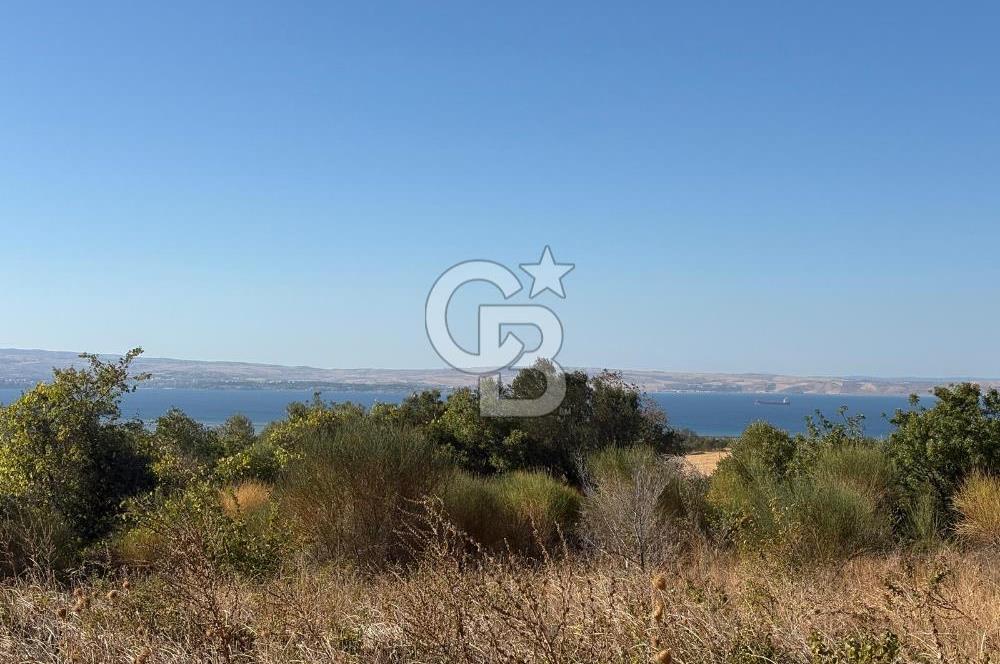 ÇANAKKALE LAPSEKİ ÇARDAK'TA BOĞAZ MANZARALI 10.055 m² YATIRIMLIK SATILIK TARLA!