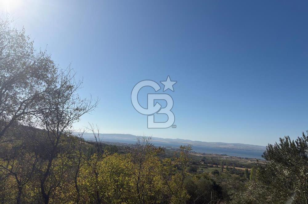 ÇANAKKALE LAPSEKİ ÇARDAK'TA BOĞAZ MANZARALI 10.055 m² YATIRIMLIK SATILIK TARLA!