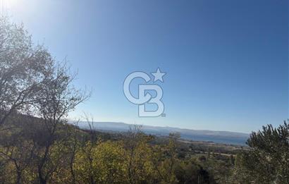 ÇANAKKALE LAPSEKİ ÇARDAK'TA BOĞAZ MANZARALI 10.055 m² YATIRIMLIK SATILIK TARLA!