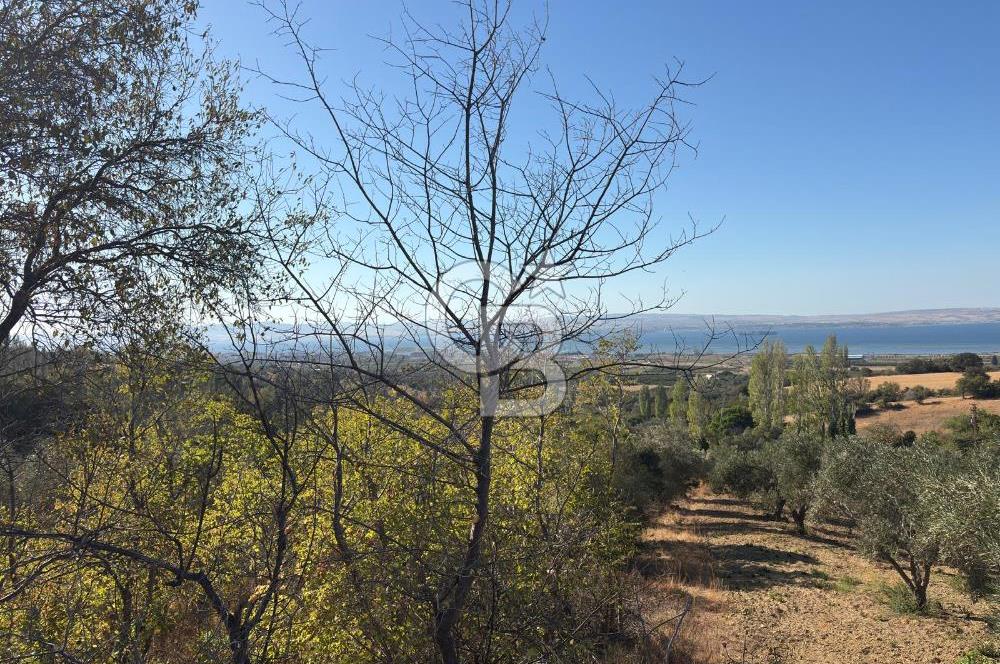 ÇANAKKALE LAPSEKİ ÇARDAK'TA BOĞAZ MANZARALI 10.055 m² YATIRIMLIK SATILIK TARLA!