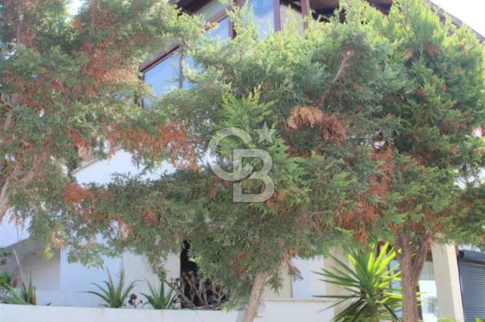 ÇEŞME DALYAN'DA SAKIZ ADASI MANZARALI TRİPLEKS VİLLA