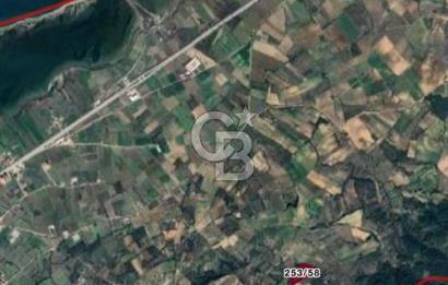 ÇANAKKALE LAPSEKİ ÇARDAK'TA BOĞAZ MANZARALI 10.055 m² YATIRIMLIK SATILIK TARLA!