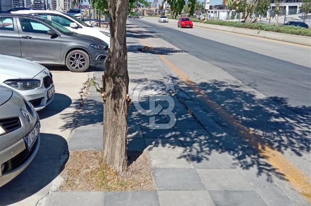 EXCELANCE BEYTEPE'DE SATILIK DÜKKAN