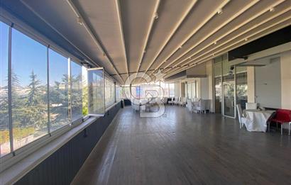 ÇAYYOLU'NDA PARK CADDESİ CEPHELİ 500 M2 KİRALIK İŞ YERİ