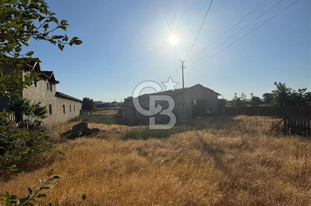 ÇANAKKALE  BAYRAMİÇ TÜRKMENLİ KÖYÜ SATILIK TARLA ELEKTİRİK SU VAR