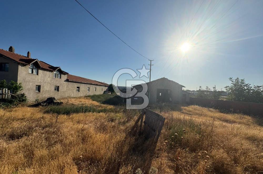 ÇANAKKALE  BAYRAMİÇ TÜRKMENLİ KÖYÜ SATILIK TARLA ELEKTİRİK SU VAR