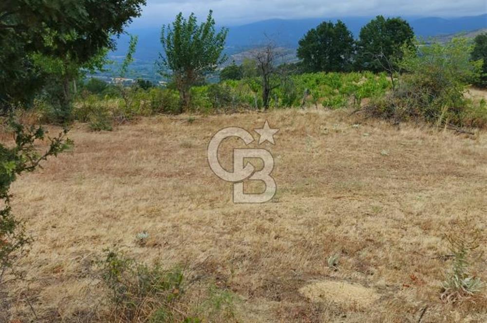 ÇANAKKALE/BAYRAMİÇ/SARIOT KÖYÜ SATILIK TARLA