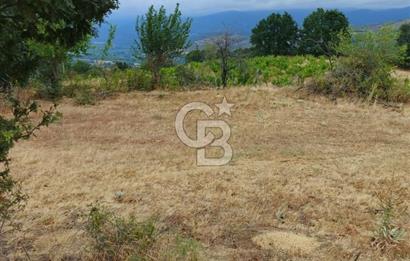 ÇANAKKALE/BAYRAMİÇ/SARIOT KÖYÜ SATILIK TARLA