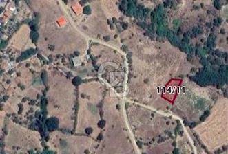 ÇANAKKALE/BAYRAMİÇ/SARIOT KÖYÜ SATILIK TARLA