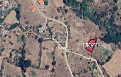 ÇANAKKALE/BAYRAMİÇ/SARIOT KÖYÜ SATILIK TARLA