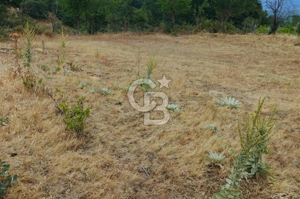 ÇANAKKALE/BAYRAMİÇ/SARIOT KÖYÜ SATILIK TARLA