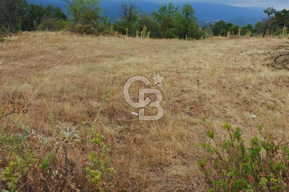 ÇANAKKALE/BAYRAMİÇ/SARIOT KÖYÜ SATILIK TARLA