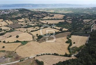 ÇANAKKALE LAPSEKİ UMURBEY DE YOLA CEPHELİ 15 DÖNÜM SATILIK ARAZİ