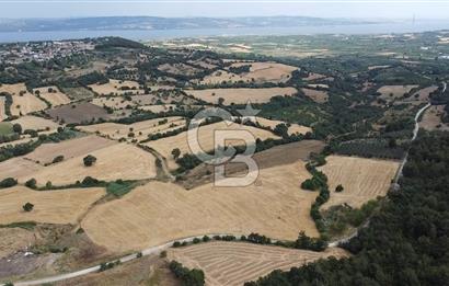 ÇANAKKALE LAPSEKİ UMURBEY DE YOLA CEPHELİ 15 DÖNÜM SATILIK ARAZİ