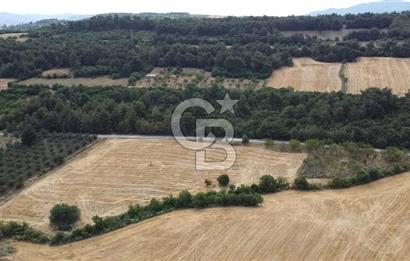 ÇANAKKALE LAPSEKİ UMURBEY DE YOLA CEPHELİ 15 DÖNÜM SATILIK ARAZİ