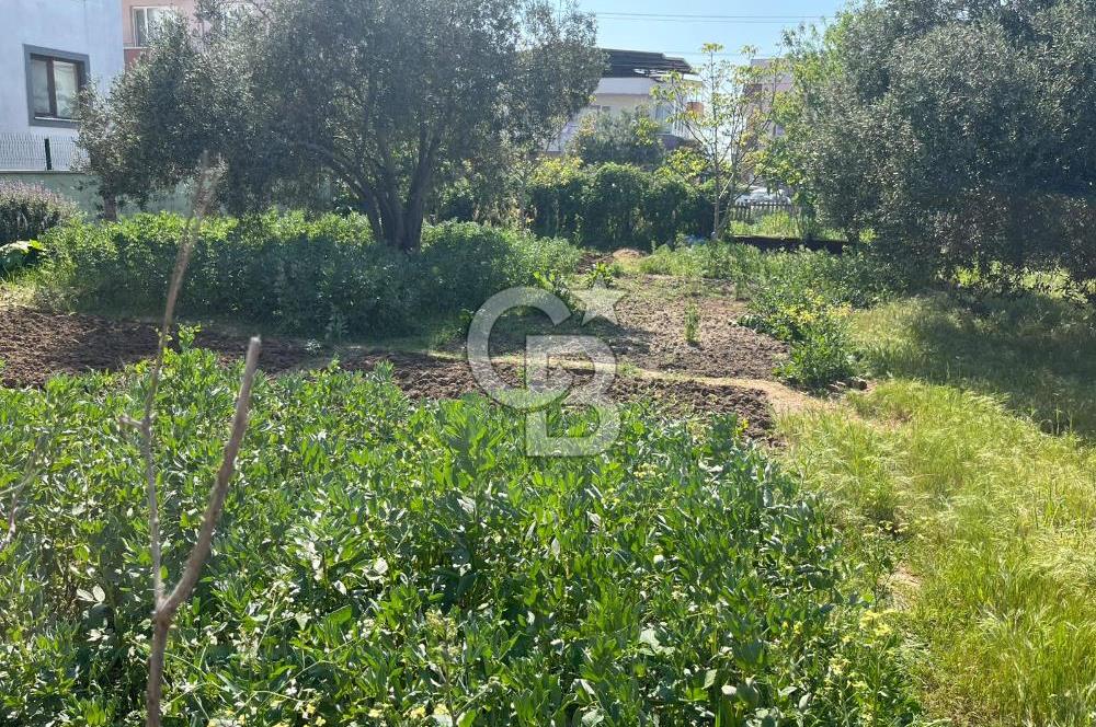 ÇANAKKALE, KEPEZ, ŞENYALI MEVKİİNDE, %40 KONUT/VİLLA İMARLI ARSAKEPEZ ARSA SATILIK