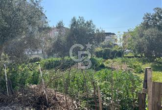 ÇANAKKALE, KEPEZ, ŞENYALI MEVKİİNDE, %40 KONUT/VİLLA İMARLI ARSAKEPEZ ARSA SATILIK