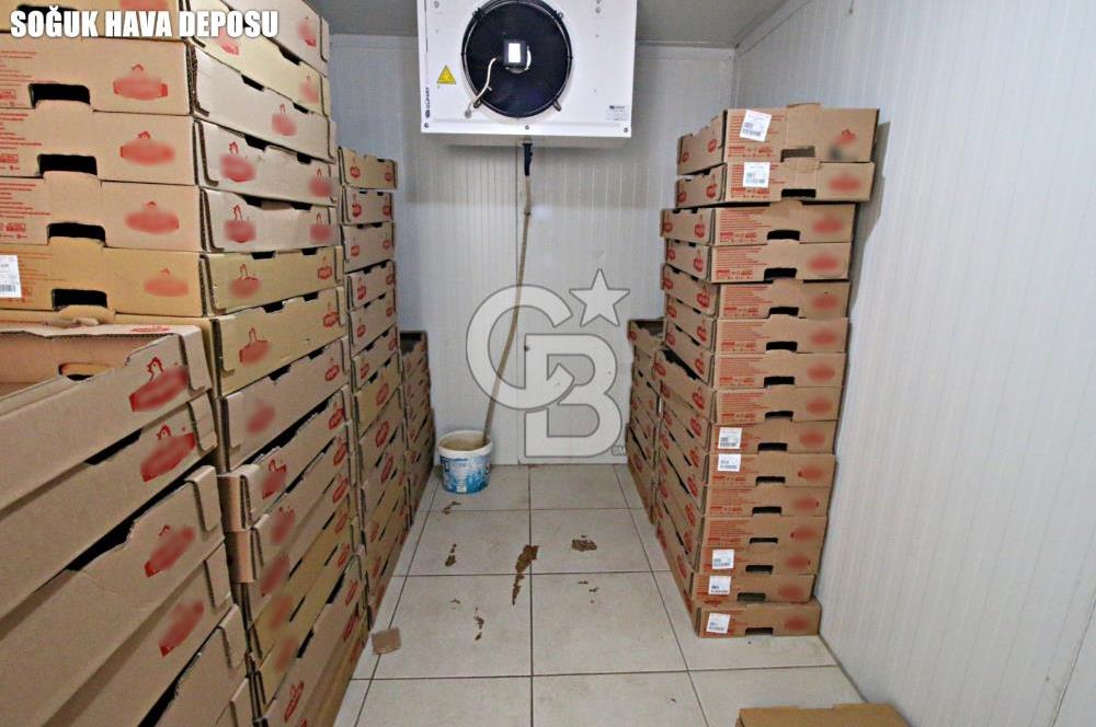 CB OPİA'DAN KEMALÖZ'DE ANAHTAR TESLİM SATILIK ŞARKÜTERİ