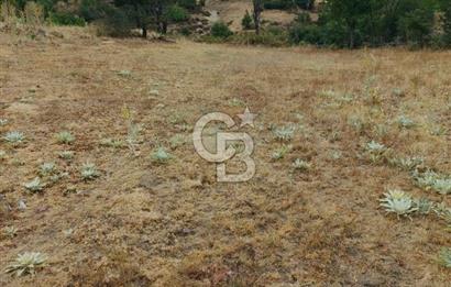 ÇANAKKALE/BAYRAMİÇ/SARIOT KÖYÜ SATILIK TARLA