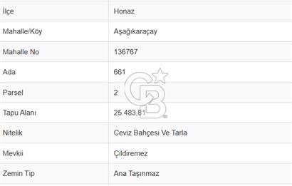 Honaz Aşağıkaraçay'da Satılık 25.483M² Ceviz Bahçesi Ve Tarla