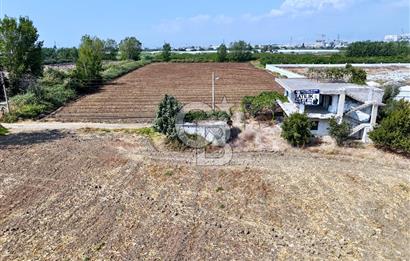 MERSİN AKDENİZ KAZANLI’DA 25.076 m² SATILIK ARAZİ