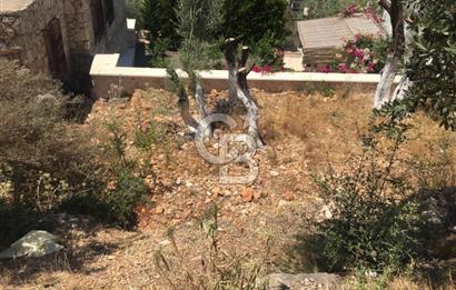 Satılık Orijinal Taş Ev
