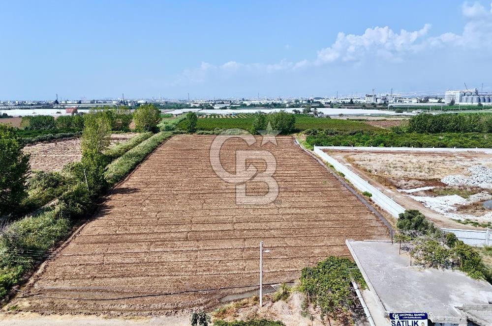 MERSİN AKDENİZ KAZANLI’DA 25.076 m² SATILIK ARAZİ