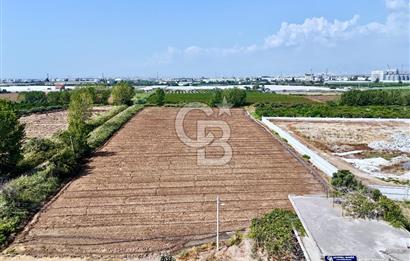 MERSİN AKDENİZ KAZANLI’DA 25.076 m² SATILIK ARAZİ