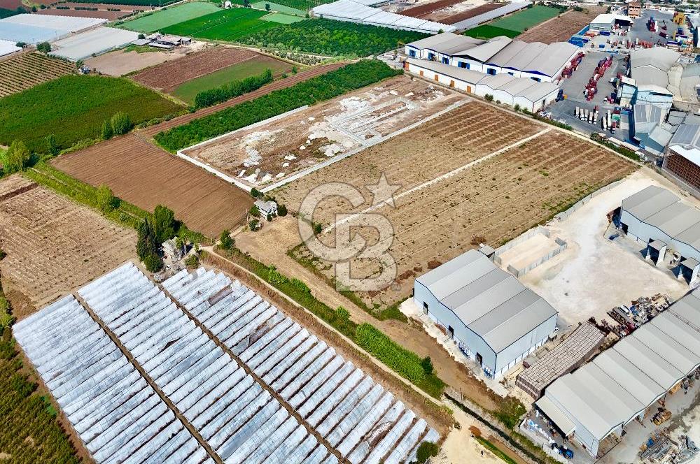 MERSİN AKDENİZ KAZANLI’DA 25.076 m² SATILIK ARAZİ