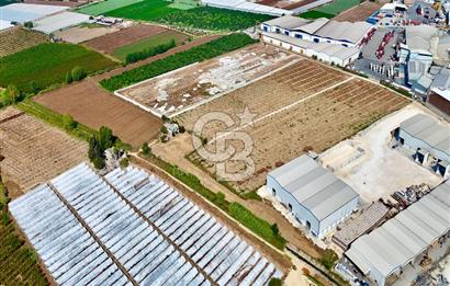 MERSİN AKDENİZ KAZANLI’DA 25.076 m² SATILIK ARAZİ