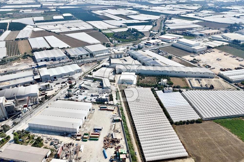 MERSİN AKDENİZ KAZANLI’DA 25.076 m² SATILIK ARAZİ