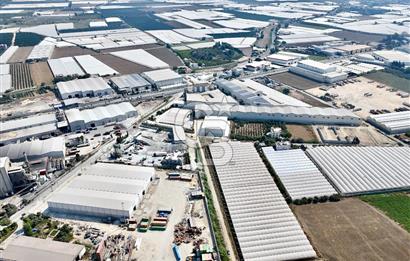 MERSİN AKDENİZ KAZANLI’DA 25.076 m² SATILIK ARAZİ