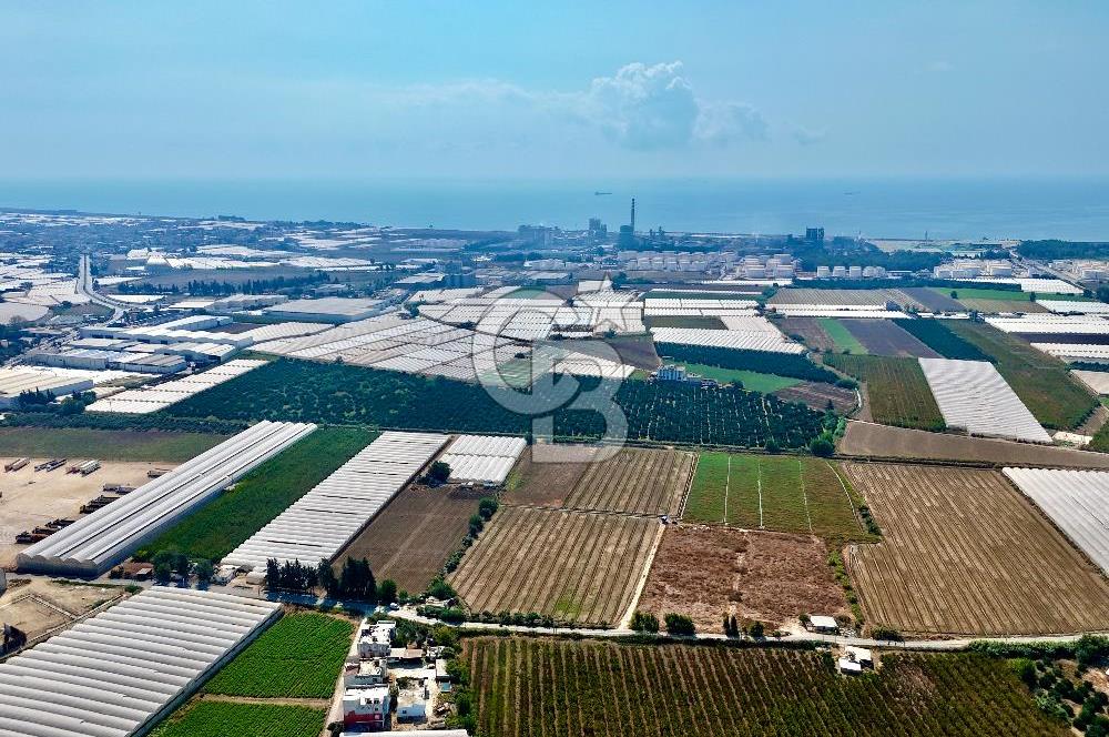 MERSİN AKDENİZ KAZANLI’DA 25.076 m² SATILIK ARAZİ