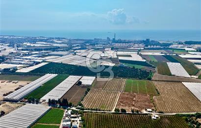 MERSİN AKDENİZ KAZANLI’DA 25.076 m² SATILIK ARAZİ