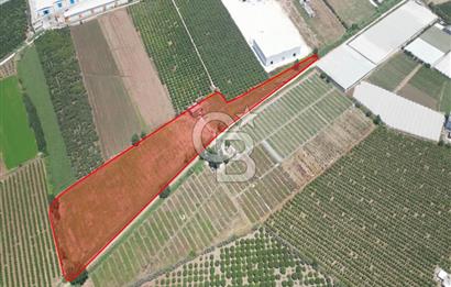 MERSİN AKDENİZ KAZANLI’DA 25.076 m² SATILIK ARAZİ