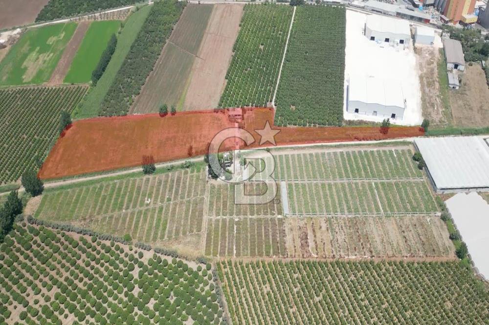 MERSİN AKDENİZ KAZANLI’DA 25.076 m² SATILIK ARAZİ