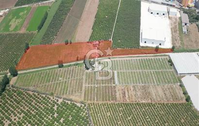 MERSİN AKDENİZ KAZANLI’DA 25.076 m² SATILIK ARAZİ