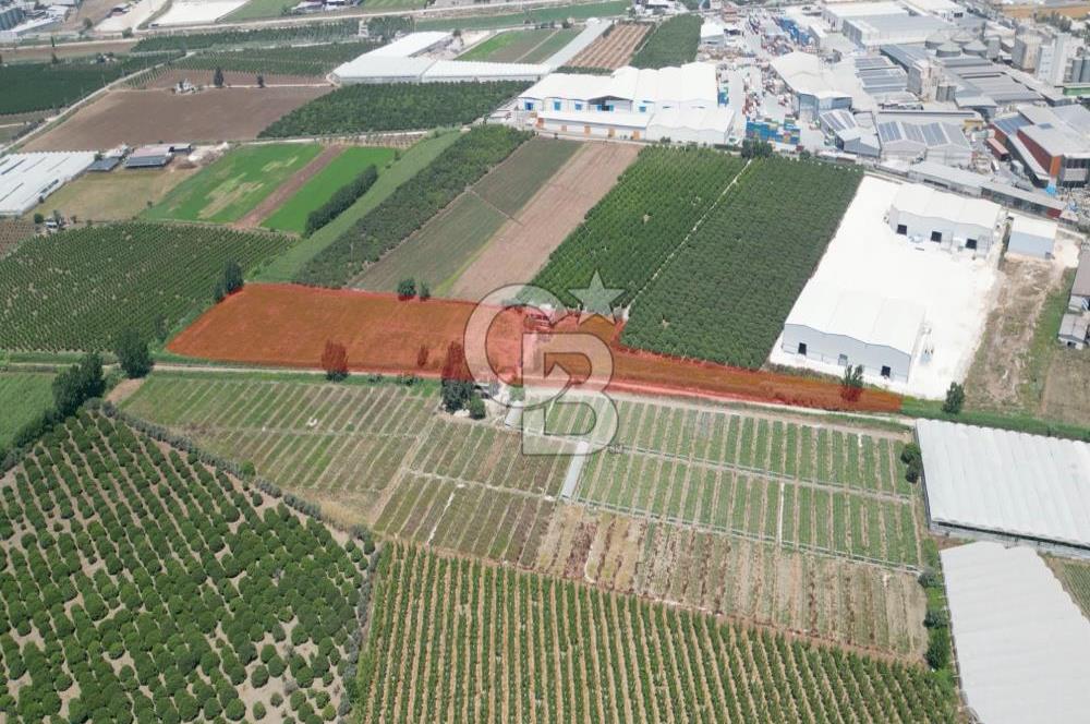 MERSİN AKDENİZ KAZANLI’DA 25.076 m² SATILIK ARAZİ