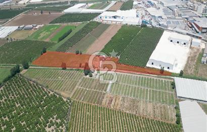 MERSİN AKDENİZ KAZANLI’DA 25.076 m² SATILIK ARAZİ