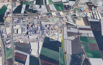 MERSİN AKDENİZ KAZANLI’DA 25.076 m² SATILIK ARAZİ